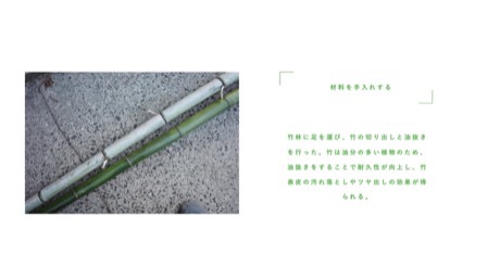 Bamboo.01