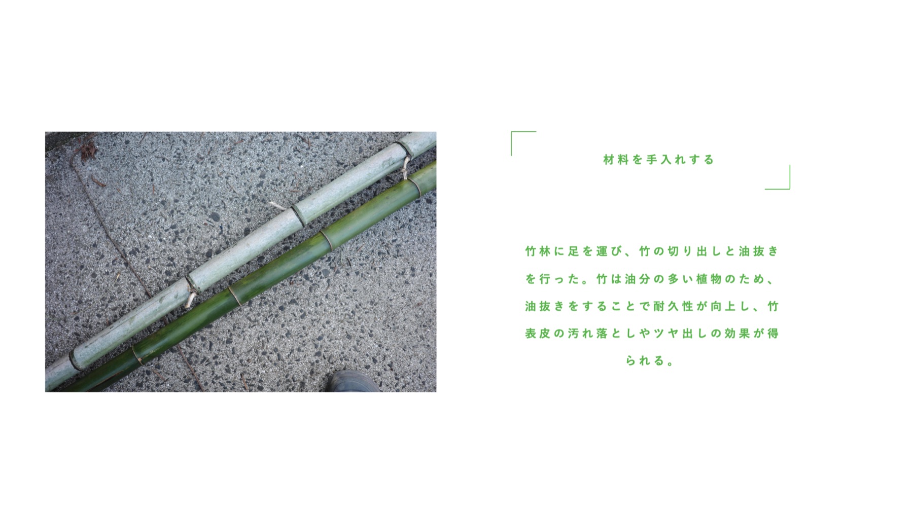 Bamboo.01