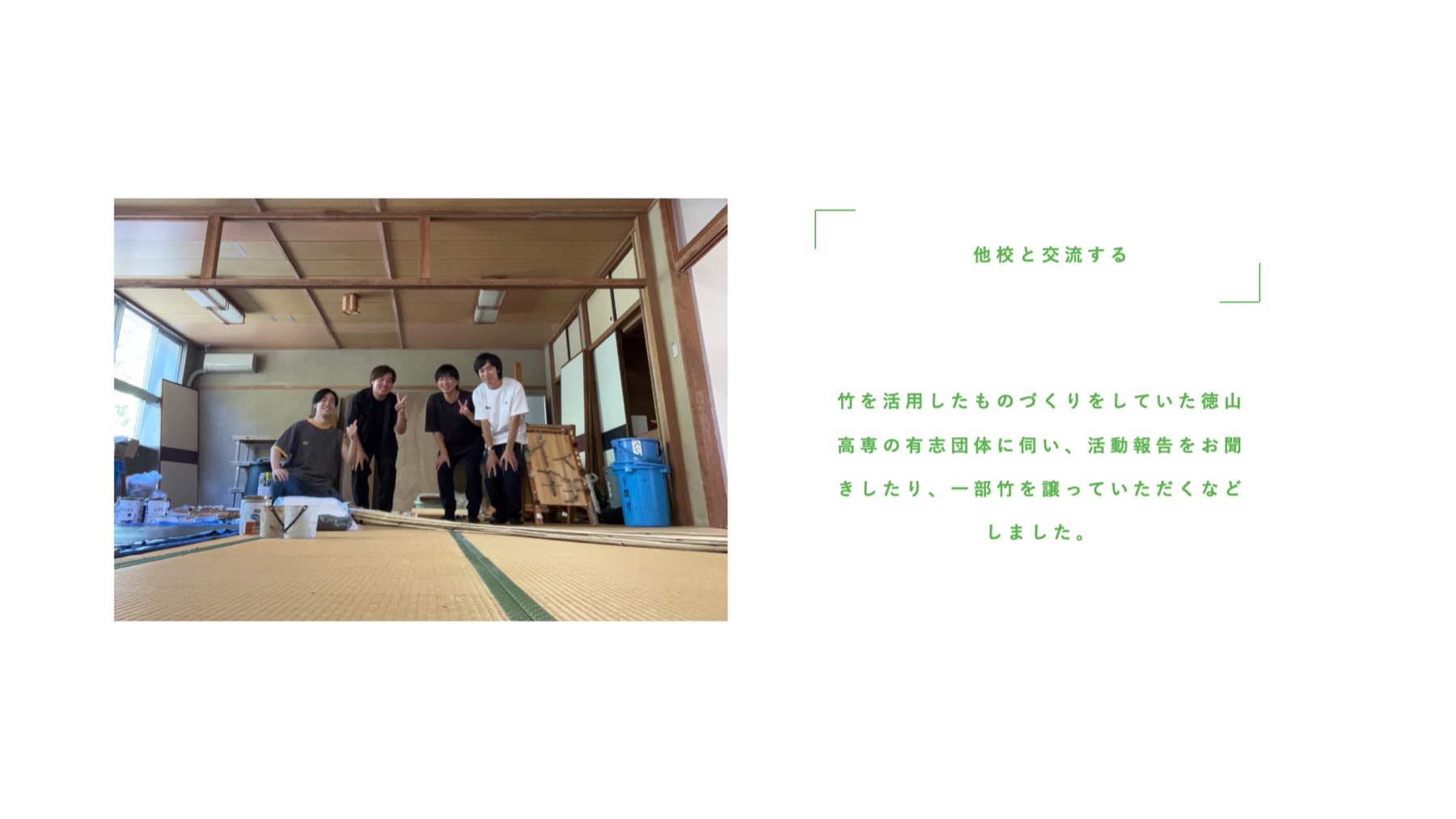 Bamboo.01