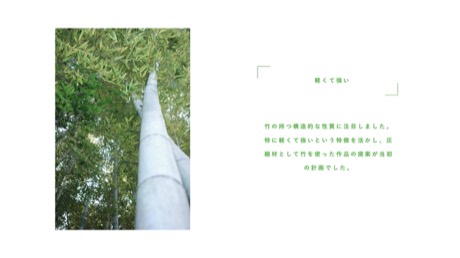 Bamboo.01