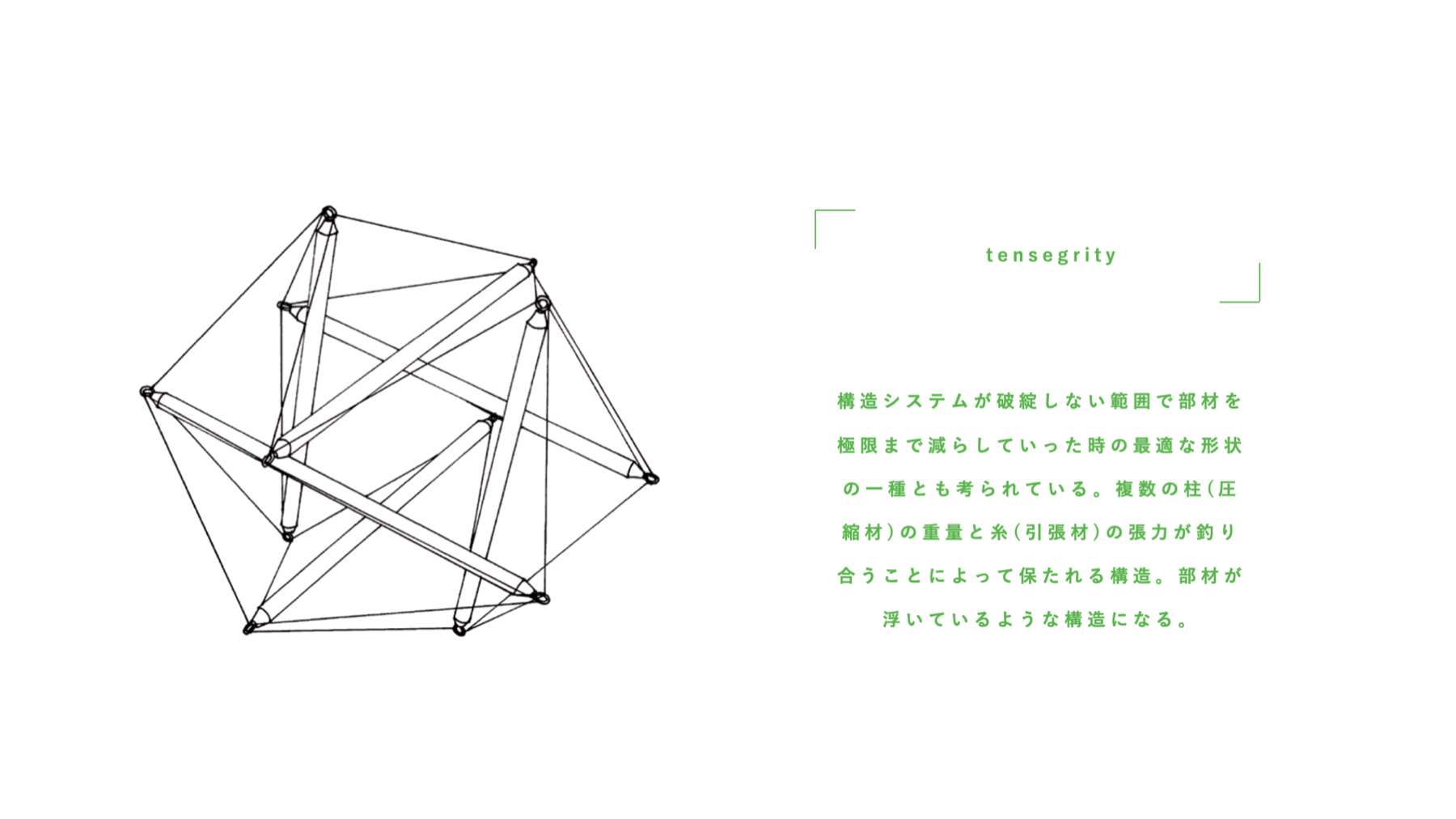 Bamboo.01