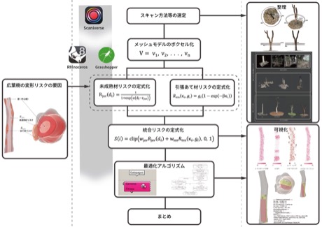 製材前段階における広葉樹の価値推定に関する基礎的研究