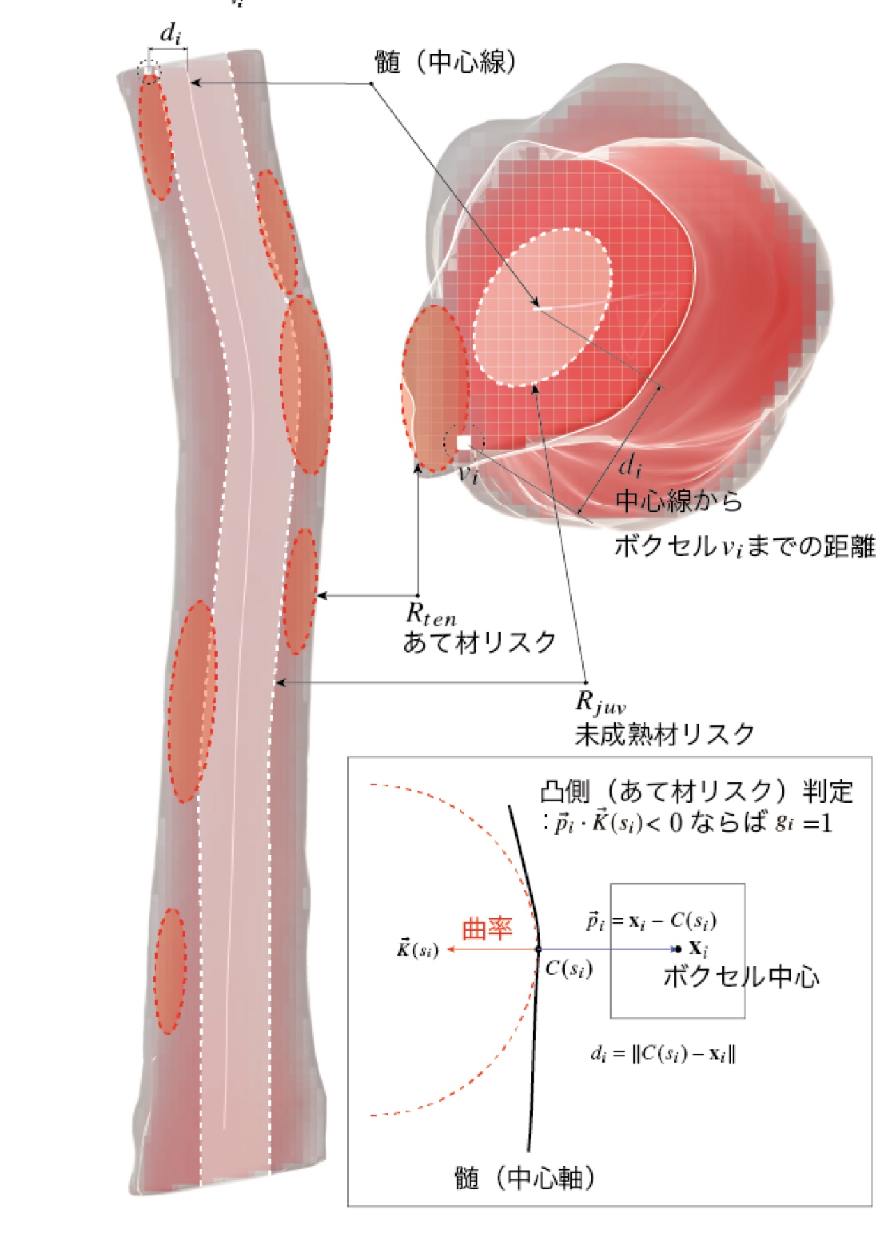 評価パラメータ（中心線からの距離・曲率など）が、立木の形状データ上のどこを指すかを示した各部名称図。