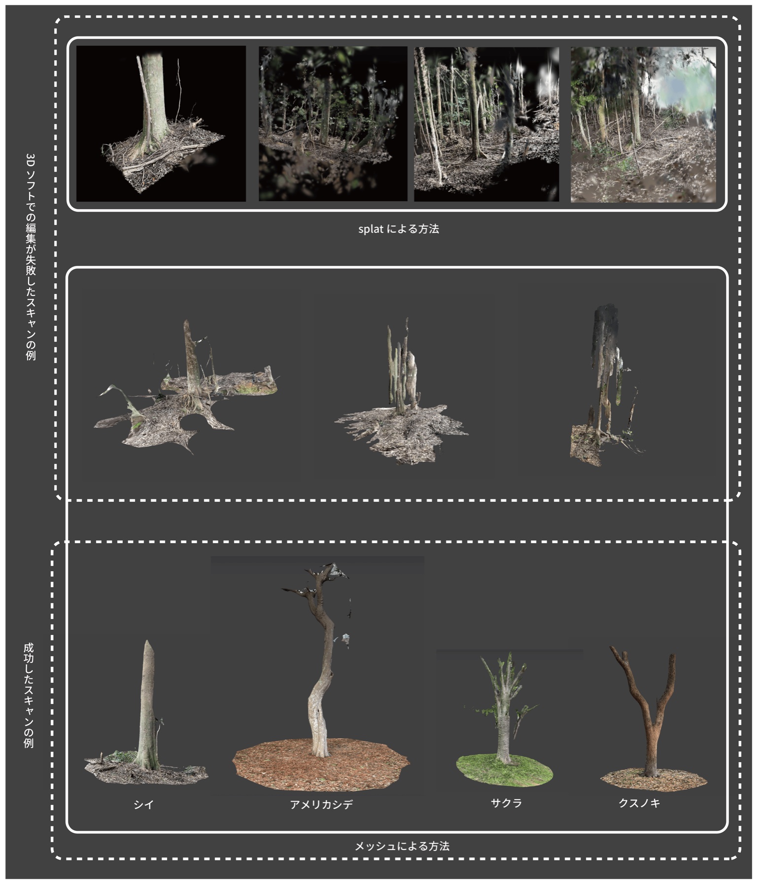 3Dスキャンで取得した立木データの分類。対象木の並べ方・種別ごとの整理を示す。